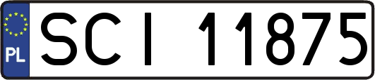 SCI11875