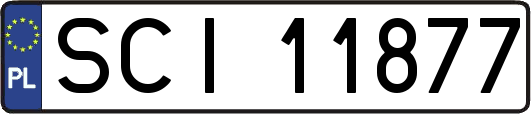 SCI11877