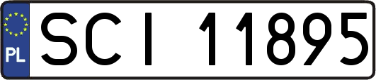 SCI11895
