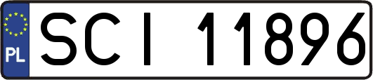 SCI11896