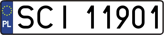 SCI11901