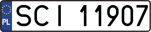 SCI11907