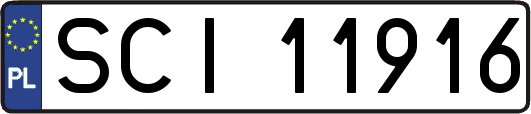 SCI11916