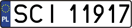 SCI11917