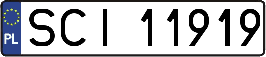 SCI11919