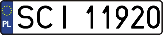SCI11920