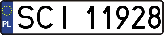 SCI11928