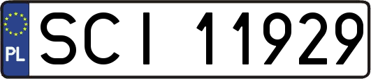 SCI11929