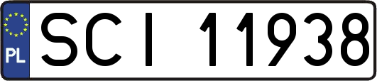 SCI11938