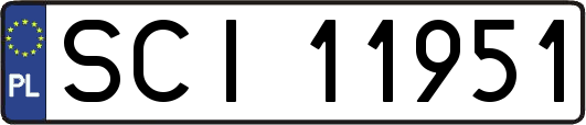 SCI11951