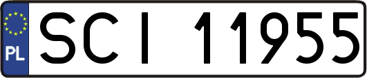 SCI11955
