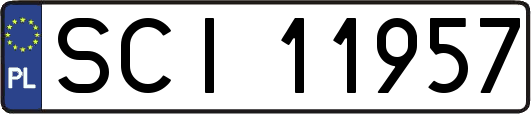 SCI11957