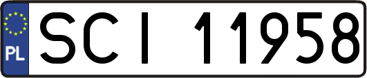 SCI11958