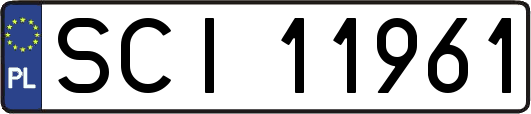 SCI11961