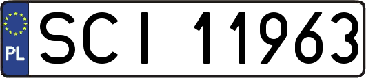 SCI11963