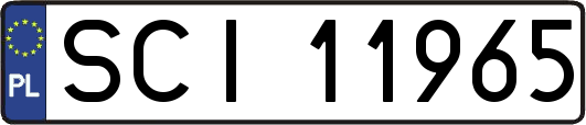SCI11965