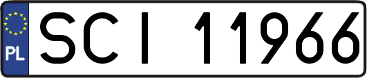 SCI11966