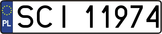 SCI11974