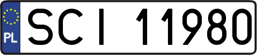 SCI11980