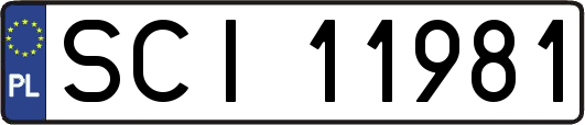 SCI11981