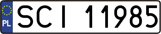 SCI11985