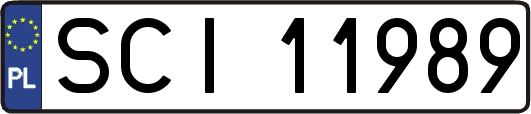SCI11989