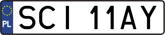 SCI11AY