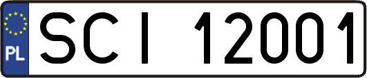 SCI12001