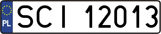 SCI12013