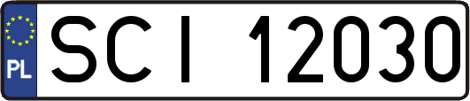 SCI12030