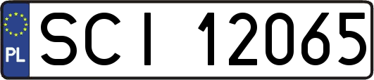 SCI12065