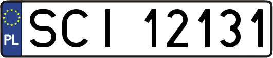 SCI12131