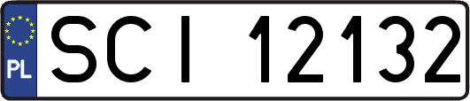 SCI12132