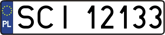 SCI12133