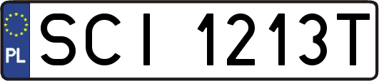 SCI1213T