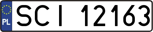 SCI12163