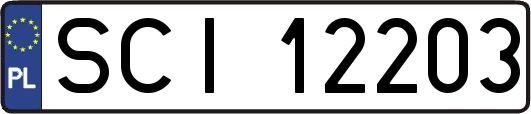 SCI12203