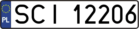 SCI12206