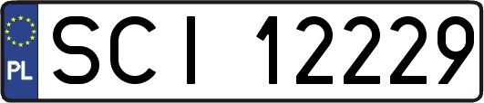 SCI12229