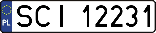 SCI12231