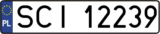 SCI12239