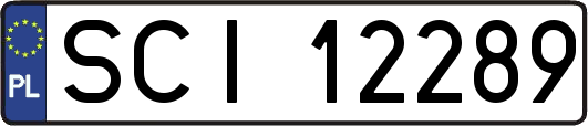 SCI12289