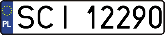 SCI12290
