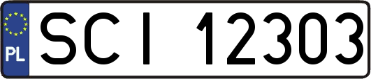 SCI12303