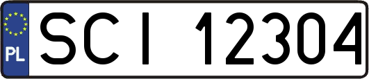 SCI12304