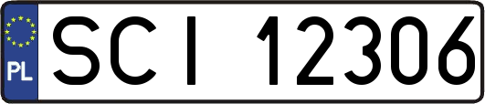 SCI12306