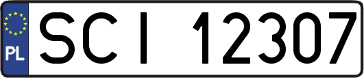 SCI12307