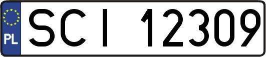 SCI12309
