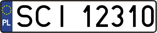 SCI12310