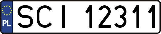 SCI12311